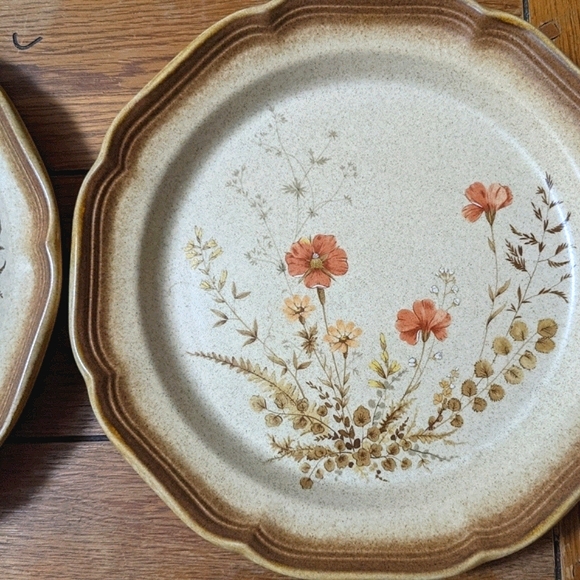 *SOLD* 8pc Mikasa Whole Wheat 'Jardiniere' plates - Picture 7 of 9